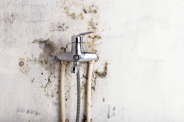 Best Bathroom Mold Remediation in Salem, OH