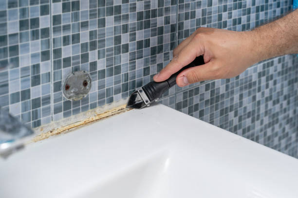 Best Insurance-Related Mold Remediation in Salem, OH